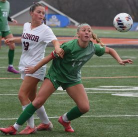 article image - Mia Deramo 13_0863